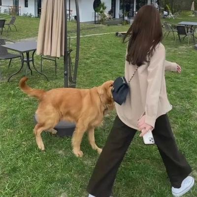 逝于无形